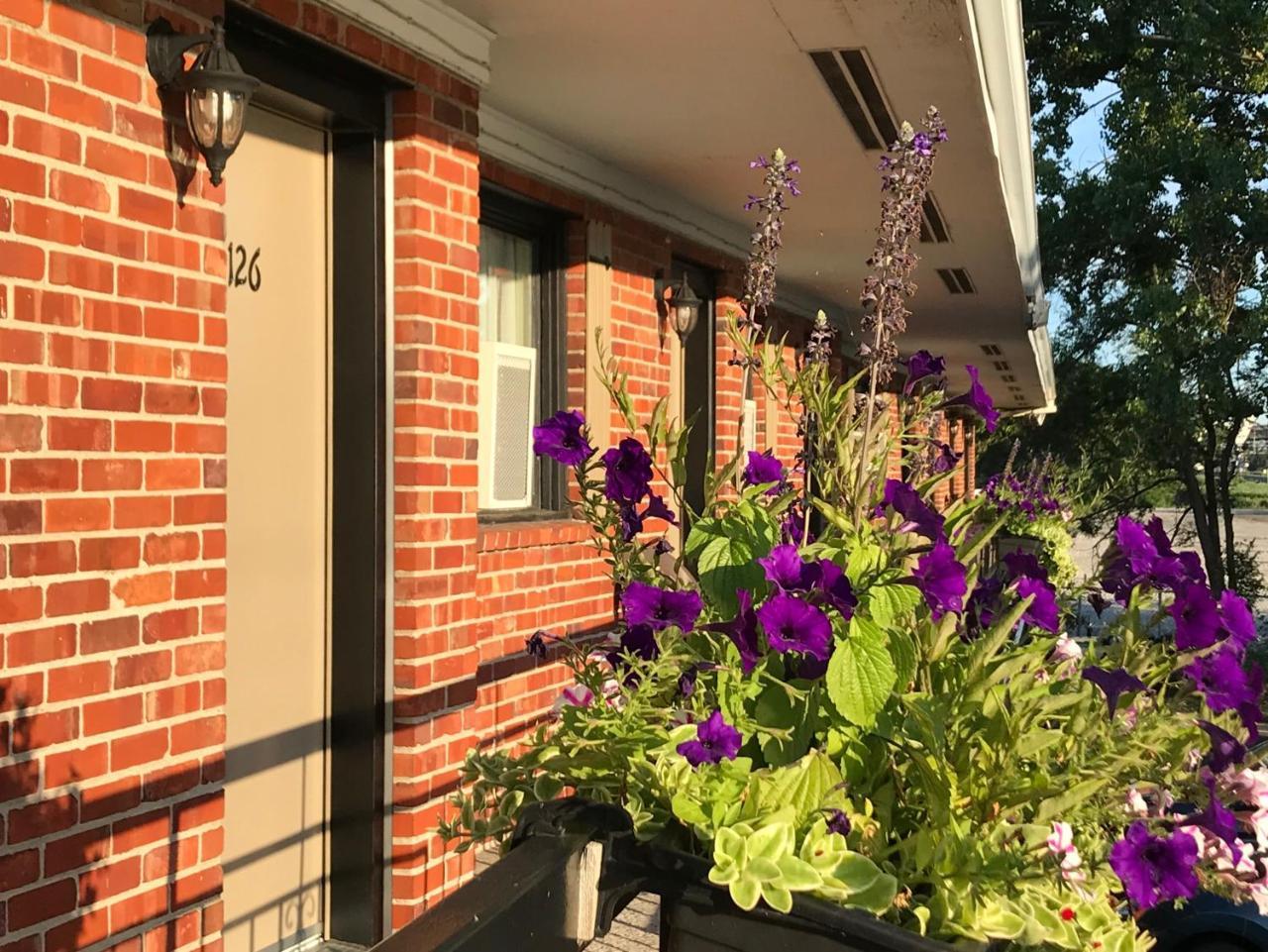 Motel Du Fleuve Brossard Exteriér fotografie